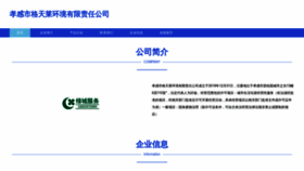What Xgitl.cn website looked like in 2023 (This year)