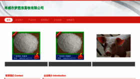 What Xgmeng.cn website looked like in 2023 (This year)