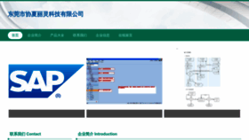 What Xixilili.cn website looked like in 2023 (This year)