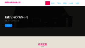 What Xjunx.cn website looked like in 2023 (This year)