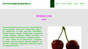 What Xpzhpvr.cn website looked like in 2023 (This year)