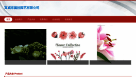 What Xvtqldg.cn website looked like in 2023 (This year)