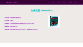 What Xvxsail.cn website looked like in 2023 (This year)