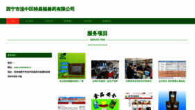 What Xodmxtca.cn website looked like in 2023 (This year)