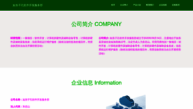 What Xinzikong.com website looks like in 2024 