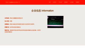 What Xinlongshangcheng.com website looks like in 2024 