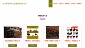 What Xrfnzjh.cn website looks like in 2024 
