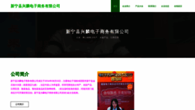 What Xinglin49.top website looks like in 2024 
