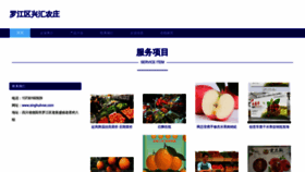 What Xinghuilvse.com website looks like in 2024 