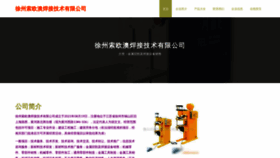 What Xzsoa.cn website looks like in 2024 