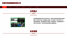 What Xgoestv.cn website looks like in 2024 