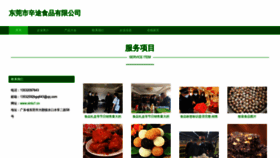 What Xintu1.cn website looks like in 2024 