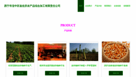 What Xqjzoqg.cn website looks like in 2024 