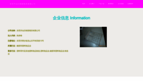 What Xunxianzong.cn website looks like in 2024 