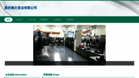 What Xmeiwen.com website looks like in 2024 