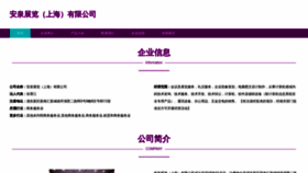 What Xinxi-anquan.com website looks like in 2024 
