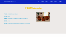 What Xionglitai.com website looks like in 2024 