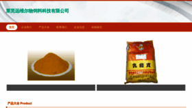 What Xiyuanverse.com website looks like in 2024 