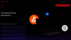 What Xcritical.com website looked like in 2024 (1 year ago)