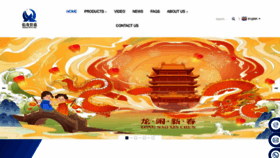What Xinqipipeline.com website looks like in 2024 