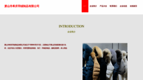 What Xqingqing.com website looks like in 2024 