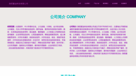 What Xbjclm.com website looks like in 2024 