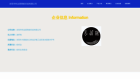 What Xbnbdtd.cn website looks like in 2024 