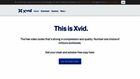 What Xvid.com website looks like in 2024 
