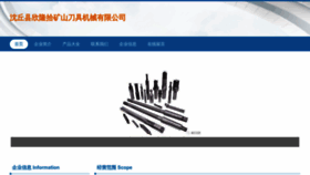 What Xinlongshi.com website looks like in 2024 