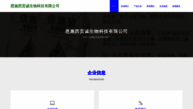 What Xigongcheng.com website looks like in 2024 