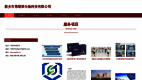 What Xxpfzlc.cn website looks like in 2024 