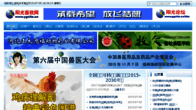 What Ygsite.cn website looked like in 2015 (8 years ago)