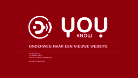 What Youknow.nl website looked like in 2016 (8 years ago)