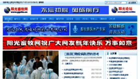 What Ygsite.cn website looked like in 2017 (7 years ago)