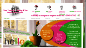 What Yourironingandcleaning4you.co.uk website looked like in 2017 (6 years ago)