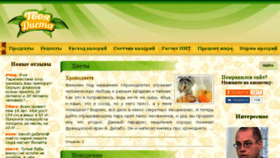 What Your-diet.ru website looked like in 2017 (6 years ago)
