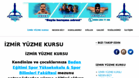 What Yuzmeizmir.com website looked like in 2017 (6 years ago)
