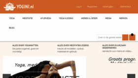 What Yogini.nl website looked like in 2017 (6 years ago)