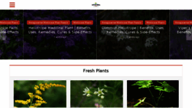 What Yourmedicinalplants.com website looked like in 2018 (6 years ago)