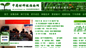 What Yaocaizhongzi.com website looked like in 2018 (6 years ago)
