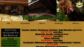 What Yourbatpros.com website looked like in 2018 (6 years ago)