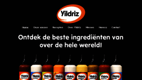 What Yildriz.nl website looked like in 2018 (6 years ago)