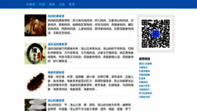 What Yaoshanyi.com website looked like in 2018 (5 years ago)