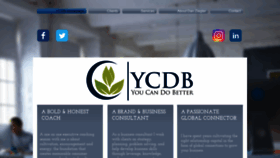 What Ycdb.info website looked like in 2019 (4 years ago)