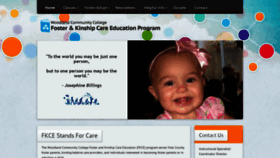 What Yolofostercare.com website looked like in 2019 (4 years ago)