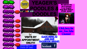 What Yeagerspoodlesanddoodles.com website looked like in 2019 (4 years ago)