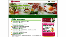 What Yamakataya-store.jp website looked like in 2019 (4 years ago)