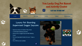 What Youluckydoghouston.com website looked like in 2020 (4 years ago)