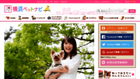 What Y-petnavi.jp website looked like in 2020 (4 years ago)