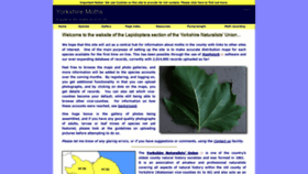What Yorkshiremoths.info website looked like in 2020 (4 years ago)